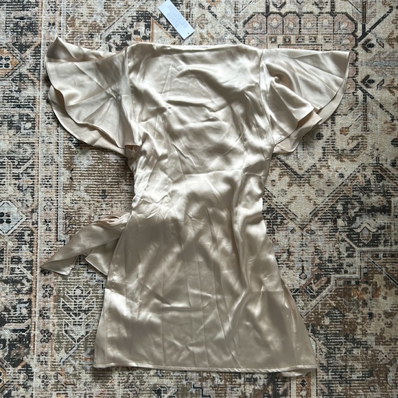 Urban Outfitters Champagne Dress - Picture 3 of 3